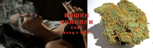 мяу мяу мука Горняк