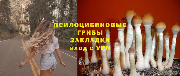 меф VHQ Инсар