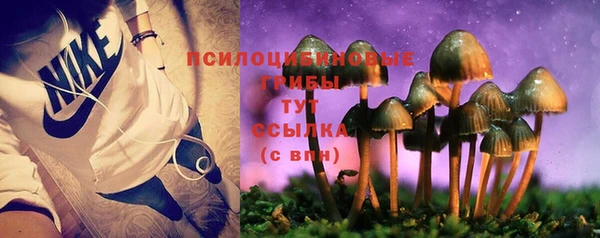 круглые Горно-Алтайск